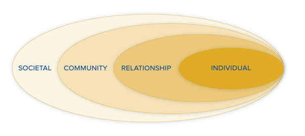 Four-level social-ecological model